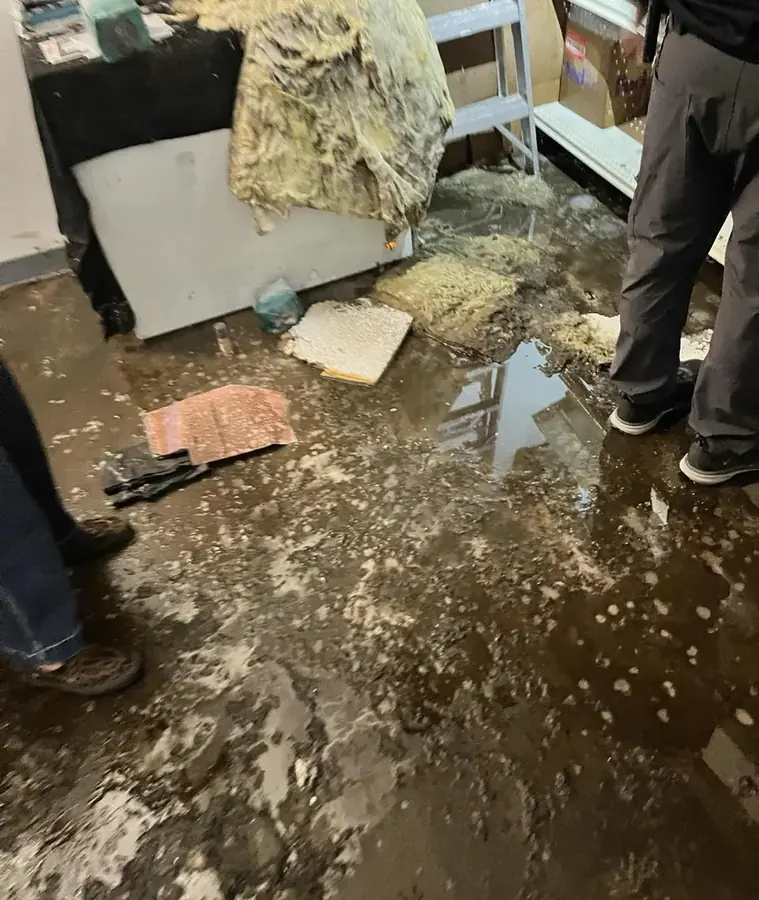Crew cleaning and disinfecting a sewage backup in a Las Vegas home